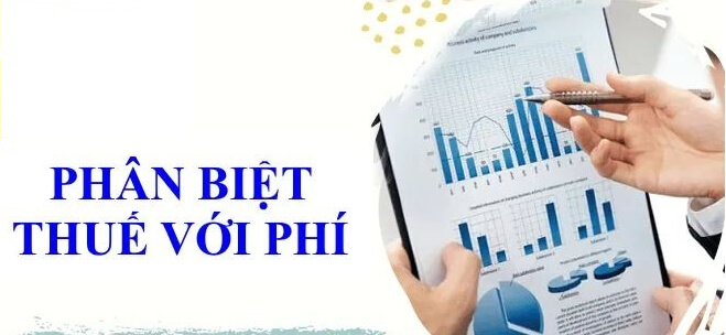 6 tiêu chí phân biệt thuế với phí và lệ phí dễ hiểu nhất
